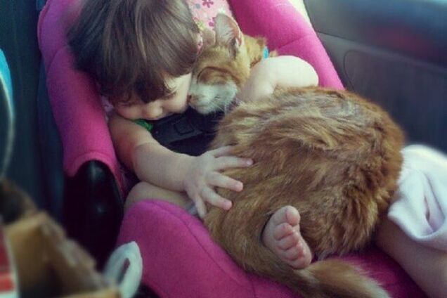 20 снимков любви в ее разных проявлениях, которые вас восхитят