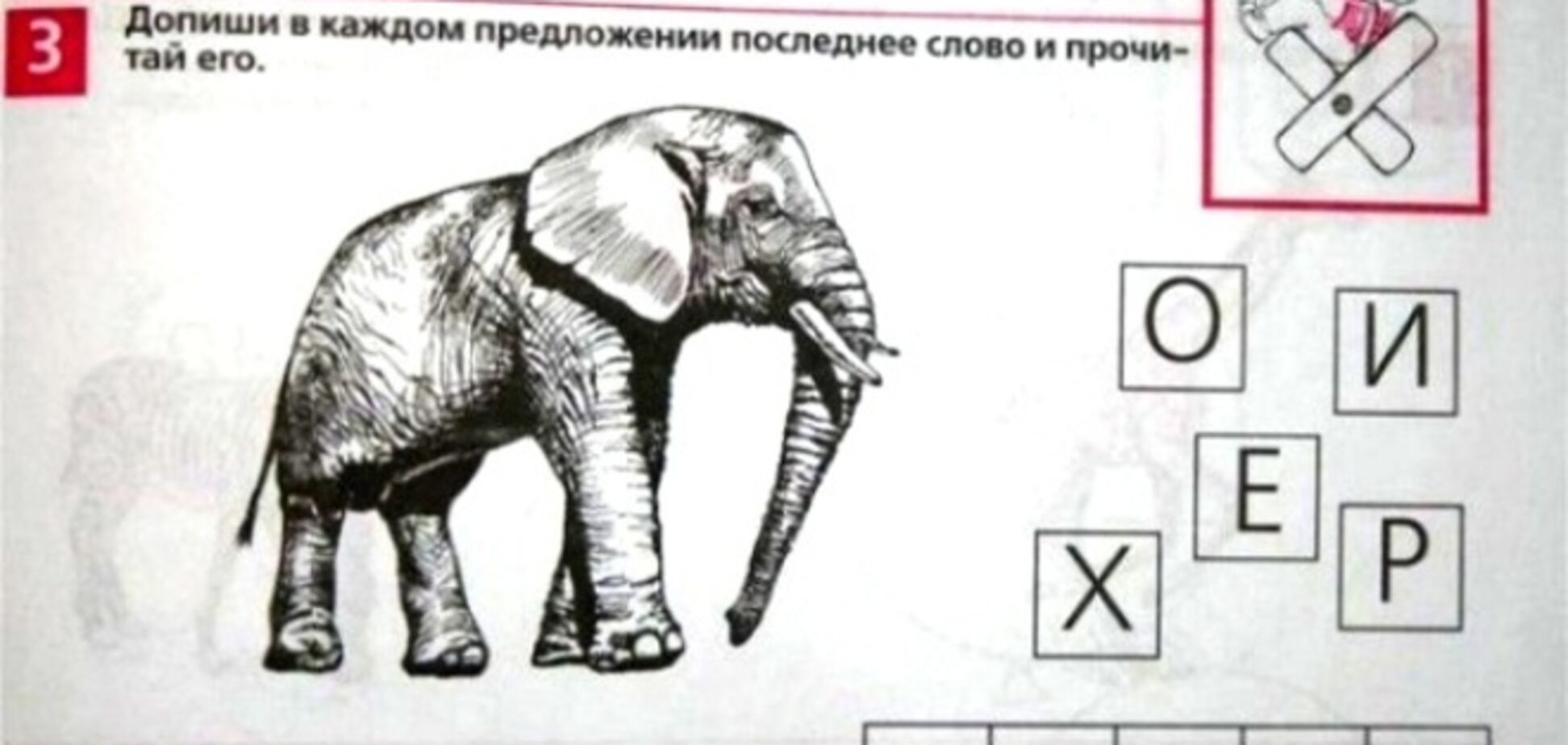 Задания из российских детских учебников, от которых встают дыбом волосы