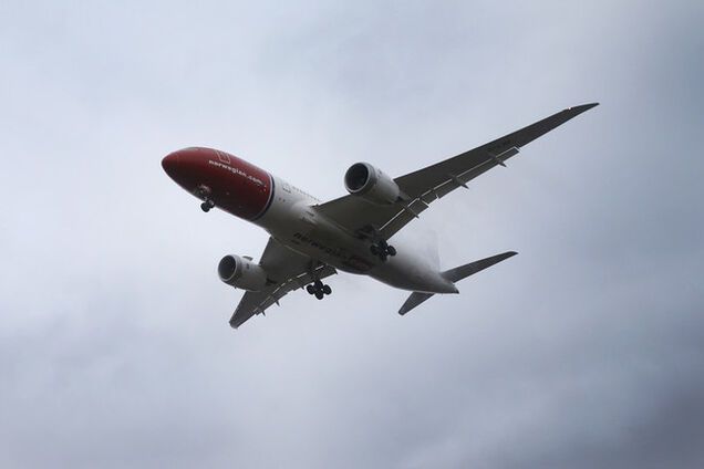 'Героическая' мышь пять часов держала самолет на взлетке