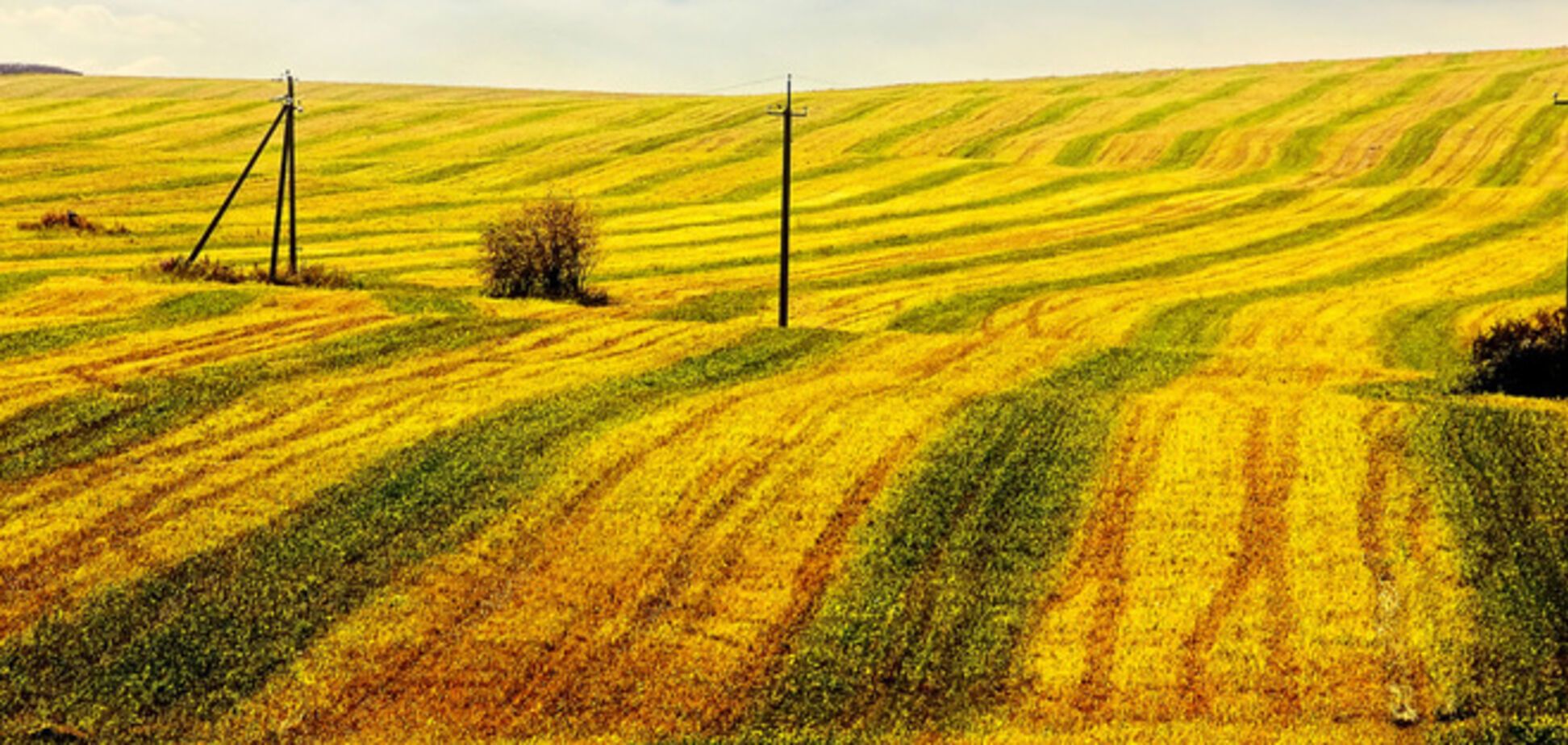 Россия после Путина