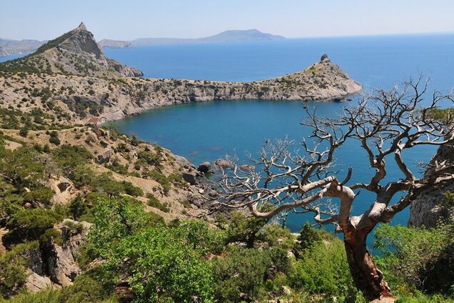 Крым – это репетиция того, что может случиться на 'большой земле'