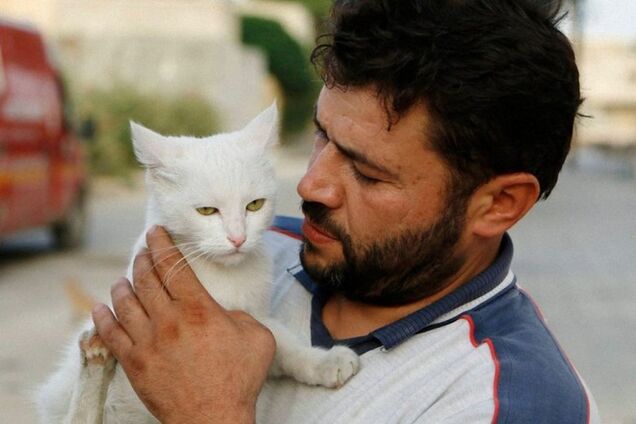 Трогательная история сирийца, который каждый день кормит кошек в разрушенном войной городе