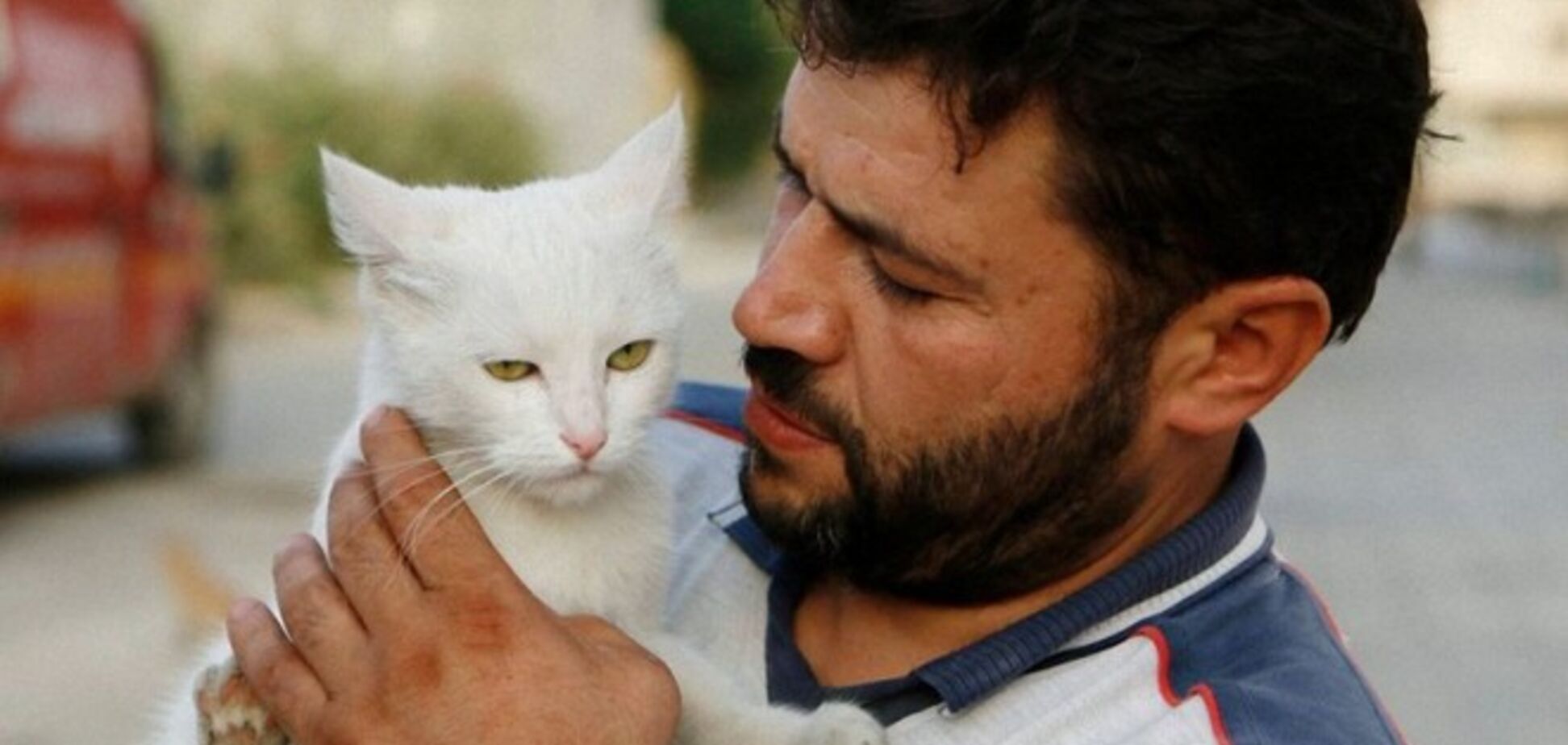 Трогательная история сирийца, который каждый день кормит кошек в разрушенном войной городе