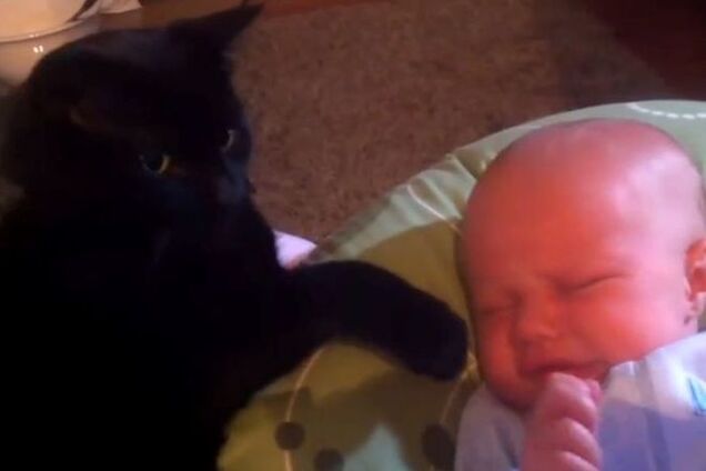 Кіт став кращим 'узбагоіном' для немовляти