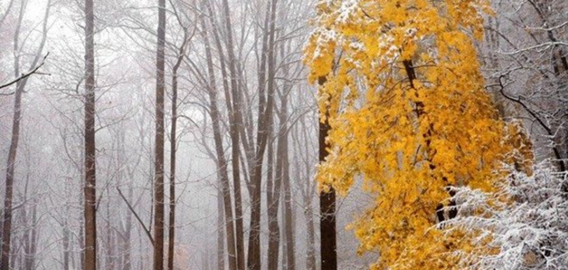 Капризный ноябрь удивит украинцев погодой
