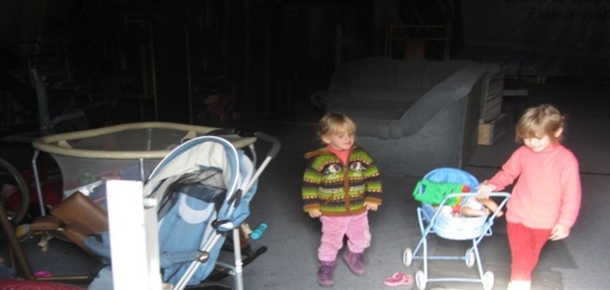 В промышленном ангаре в Киеве живут 15 малышей и трое беременных