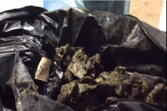 Правозащитница в поисках пропавших российских солдат сняла жуткое видео в морге Днепропетровска