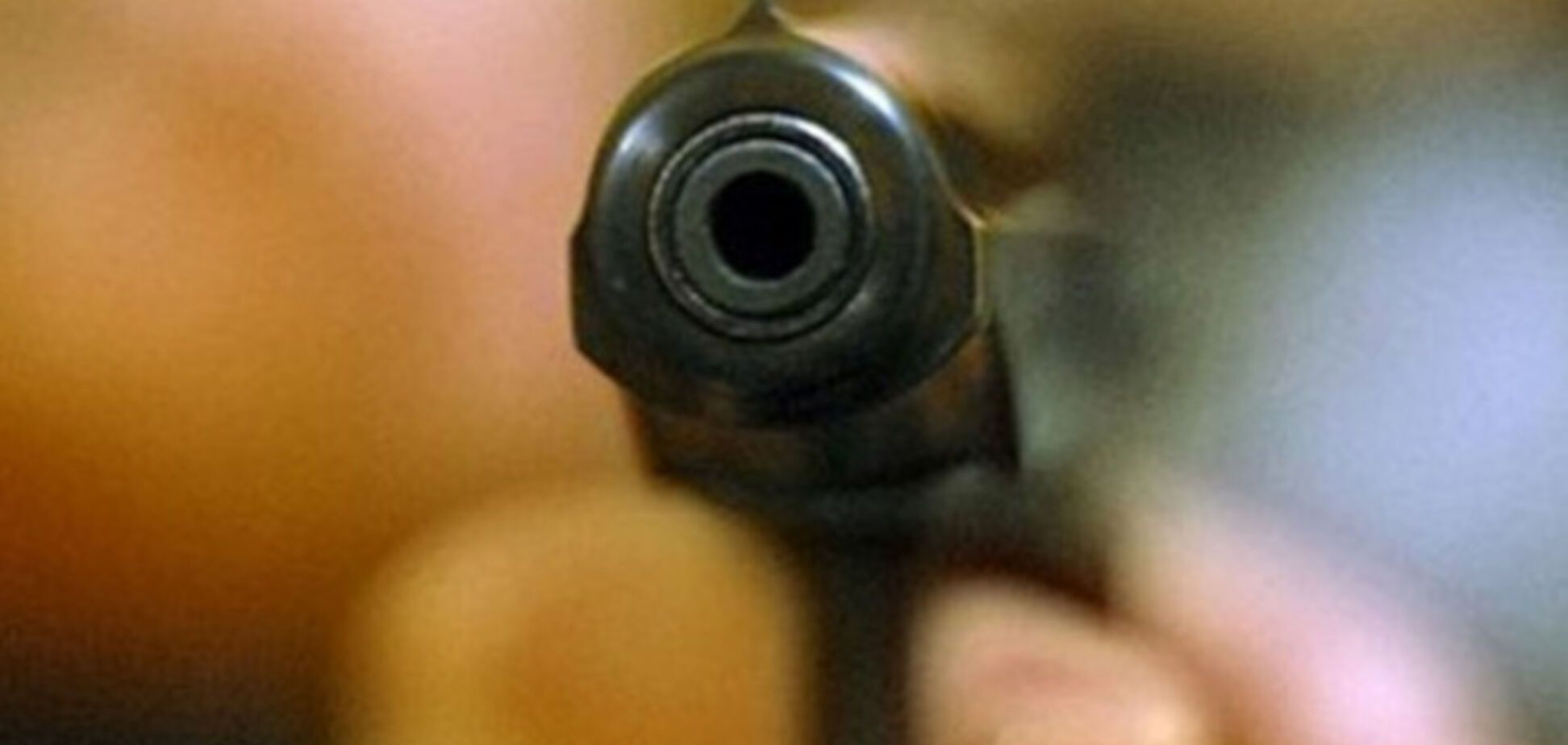 У Жириновского предложили разрешить россиянам применять оружие против насильников и грабителей