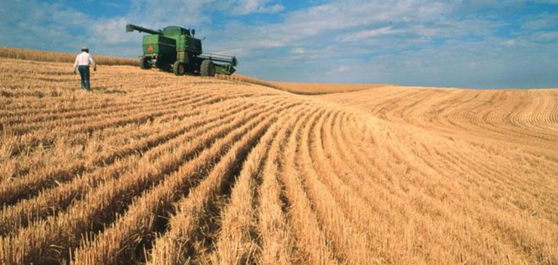 Россия признала, что не сможет вытеснить Украину с мирового рынка зерна