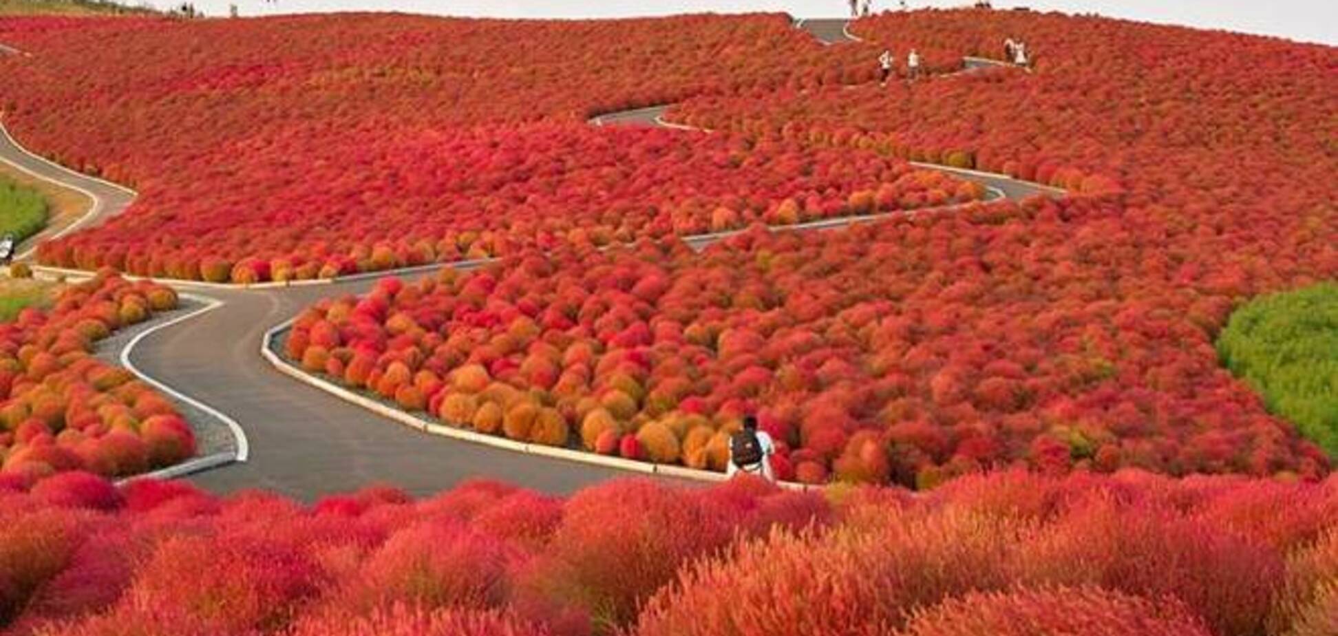 Живописные места природы, что заново расцвели с приходом осени