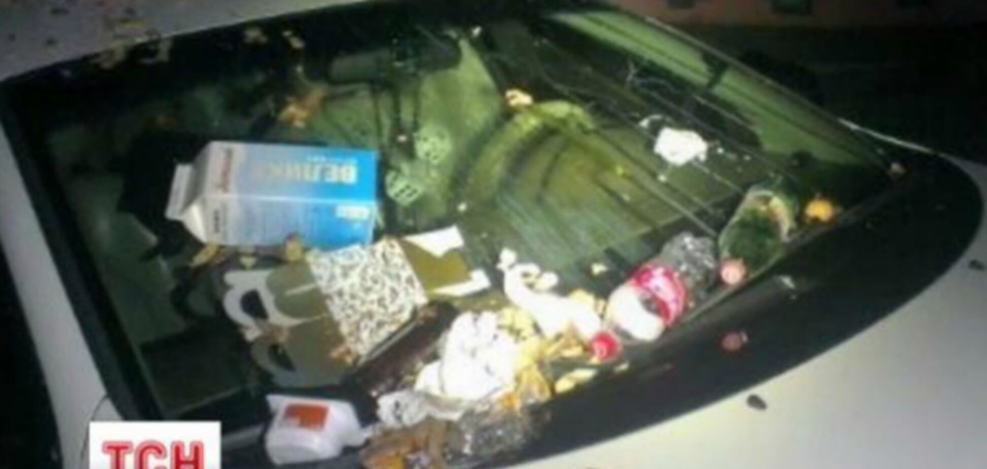 На Троещине припаркованную на газоне машину засыпали мусором