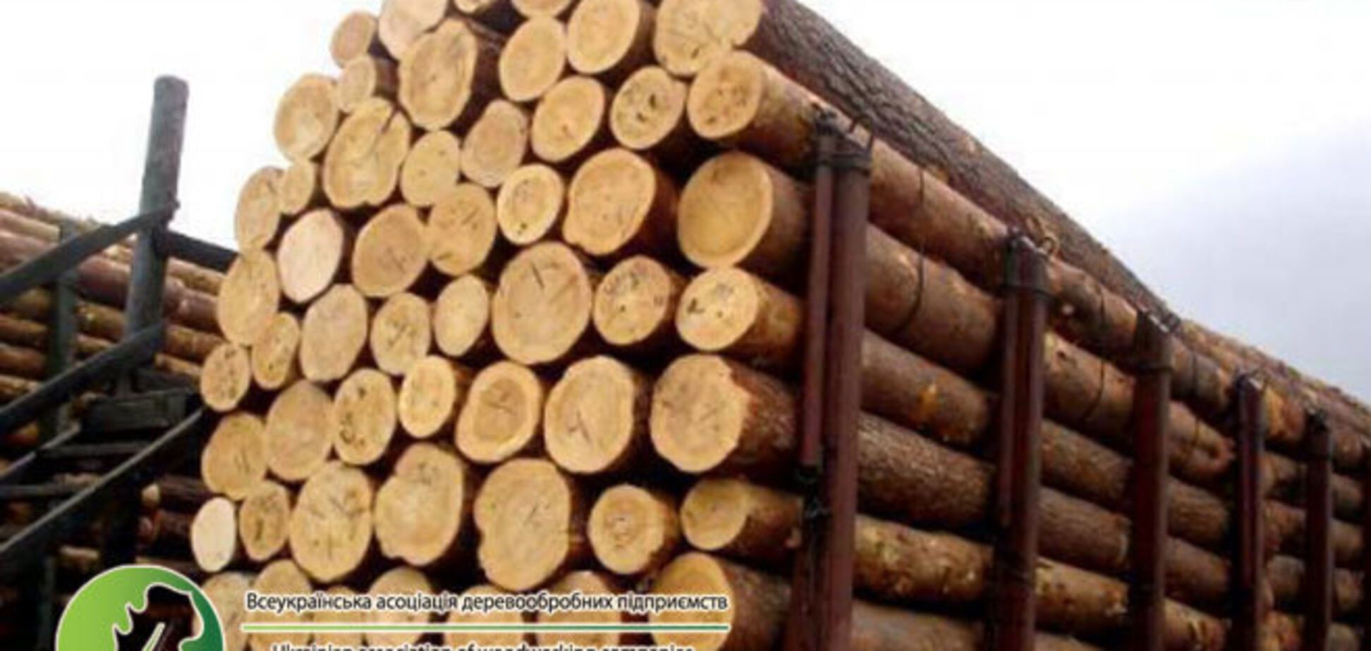 Ассоциация деревообрабатывающих предприятий обвиняет Гослесагентство в антигосударственной политике