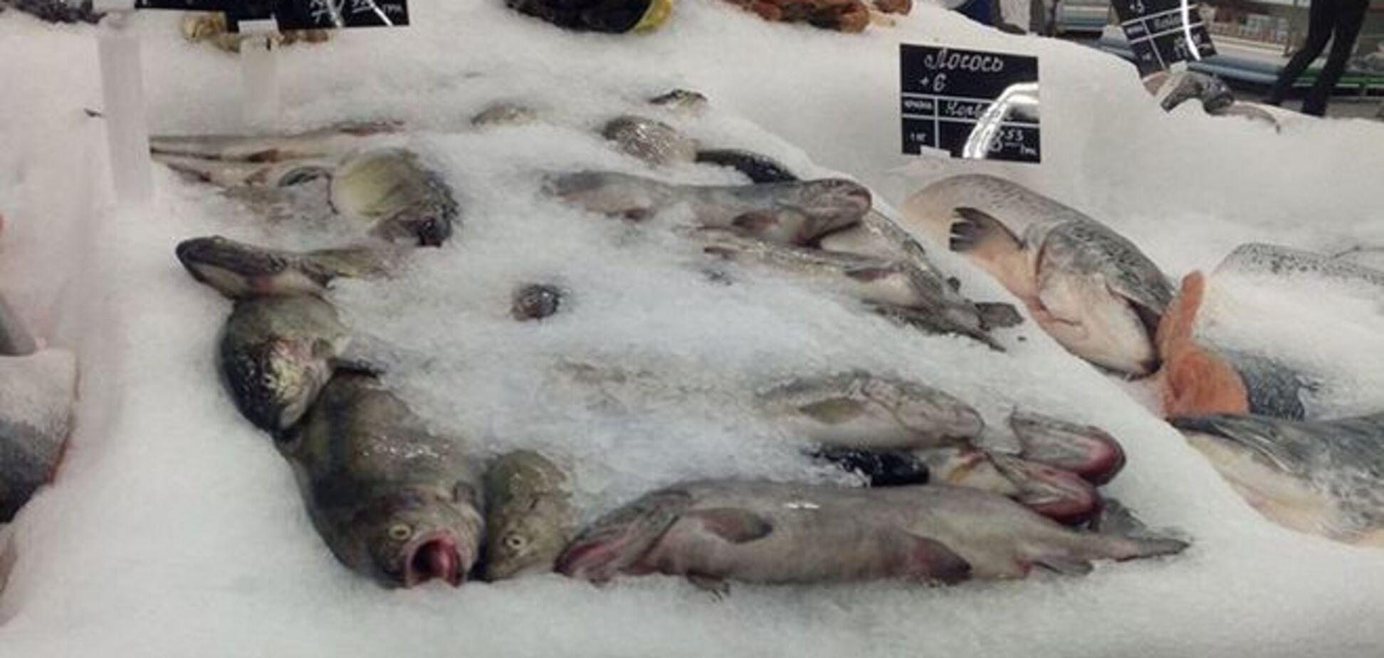 Киянка виявила в рибі з супермаркету жахливий сюрприз