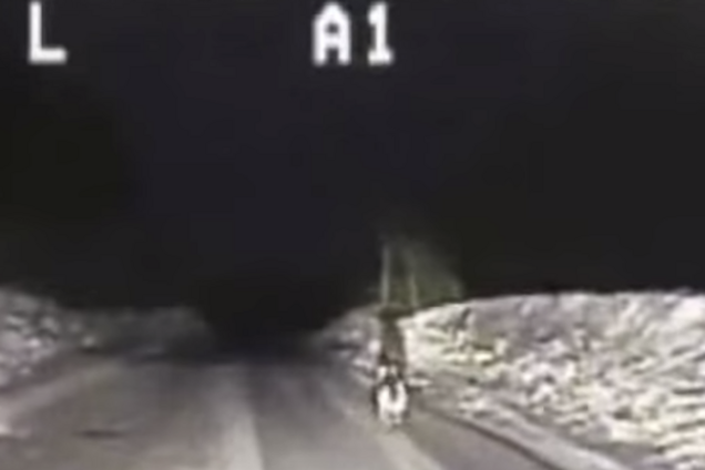 Овчарка спасла хозяина, позвав на помощь патрульных