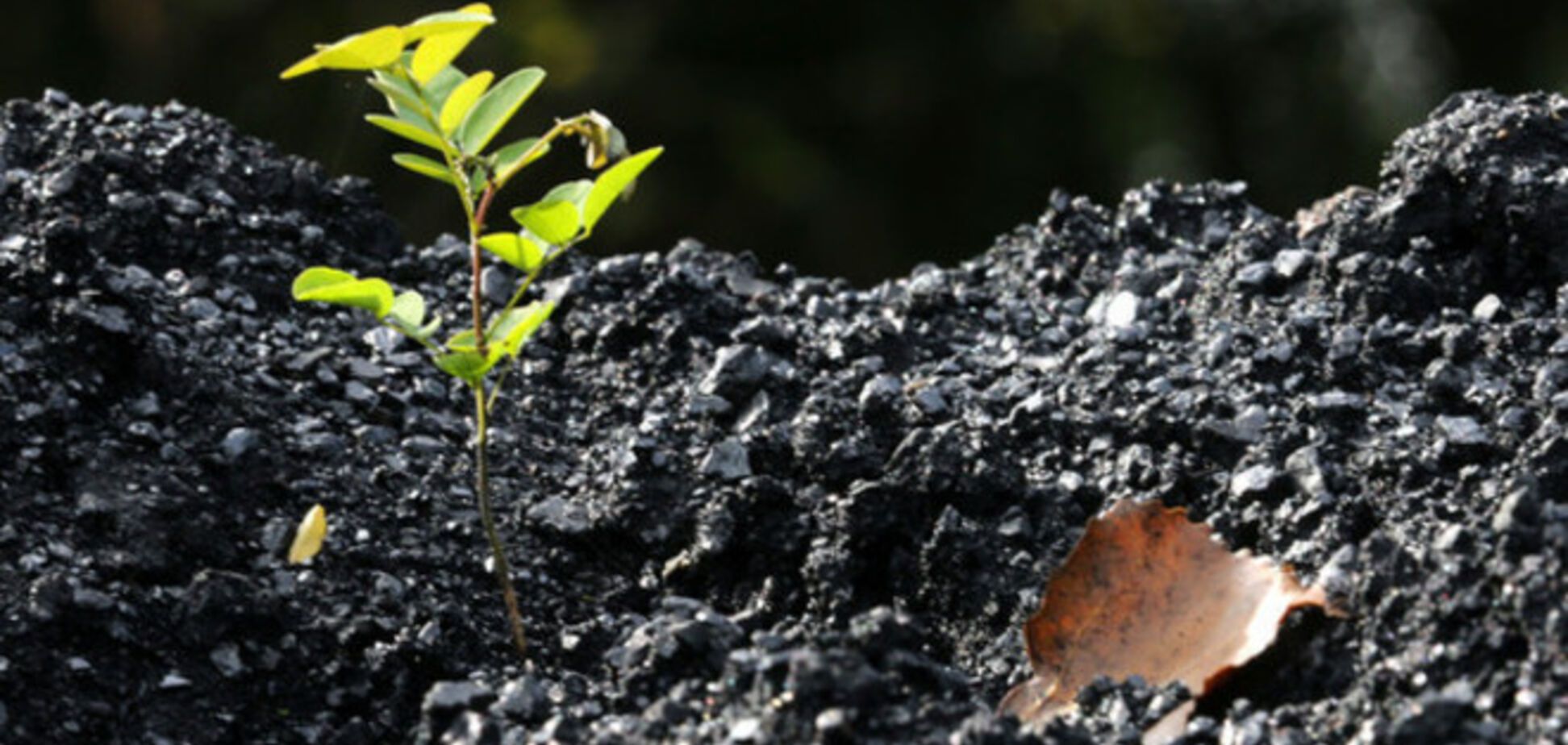 Україна купить у Росії півмільйона тонн вугілля