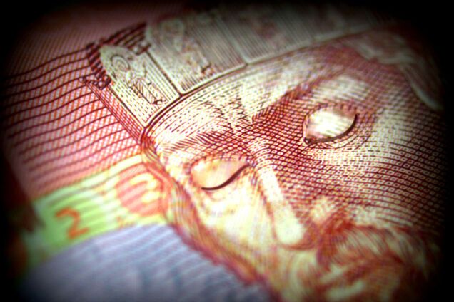 Один из создателей гривни рассказал, как остановить ее падение