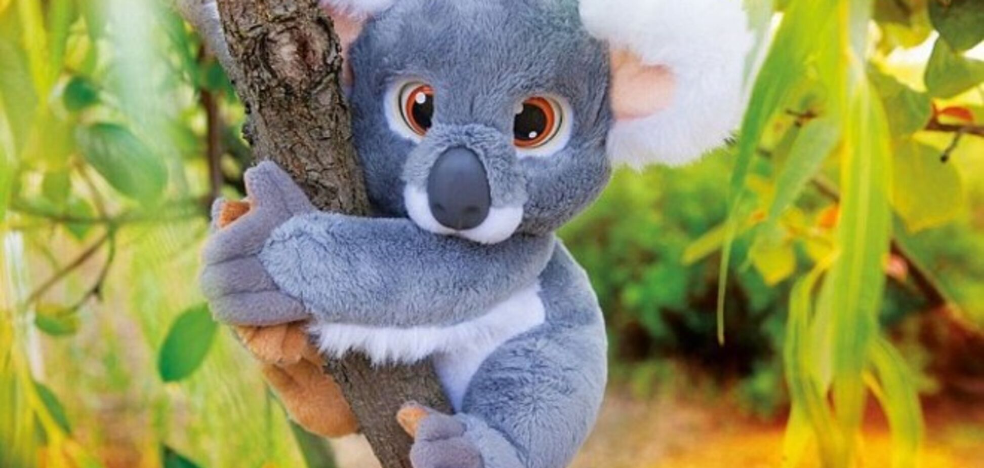 Эмоциональная коала обматерила трехлетнюю девочку