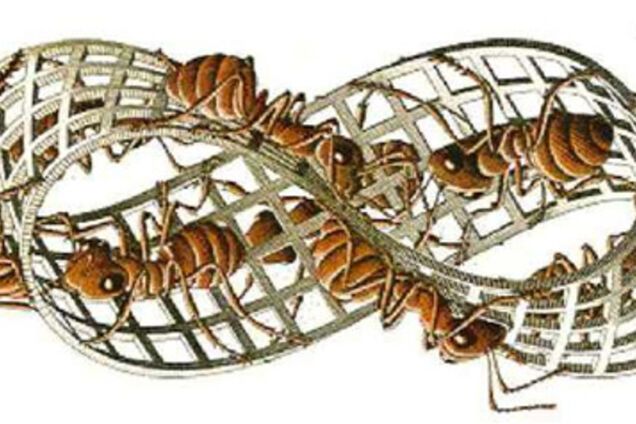 Спеша делать добро