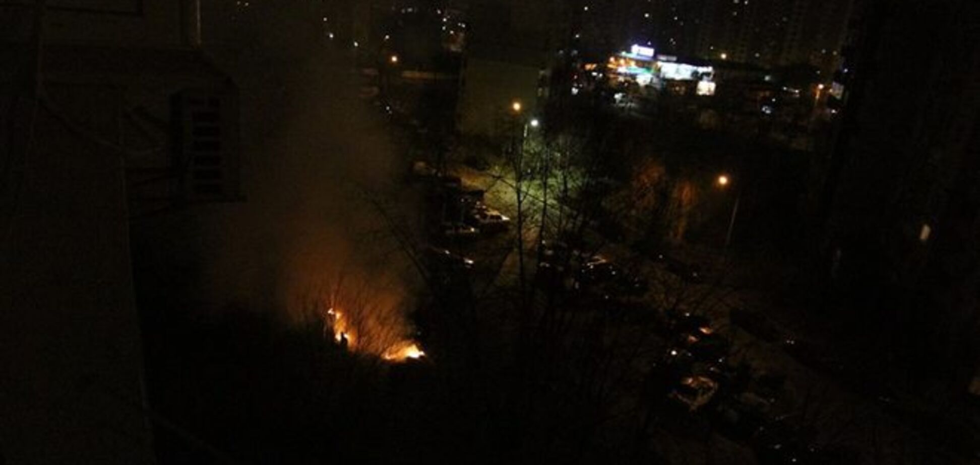 Киевляне рассекретили, куда дворники девают опавшие листья