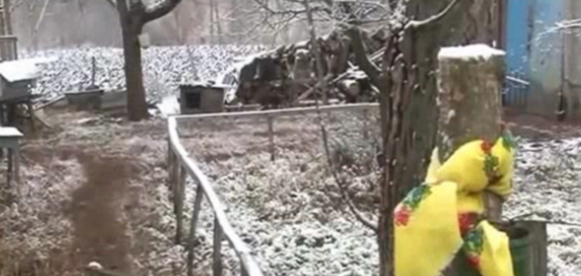 На Кировоградщине жестоко убили мать пропавшего без вести бойца АТО