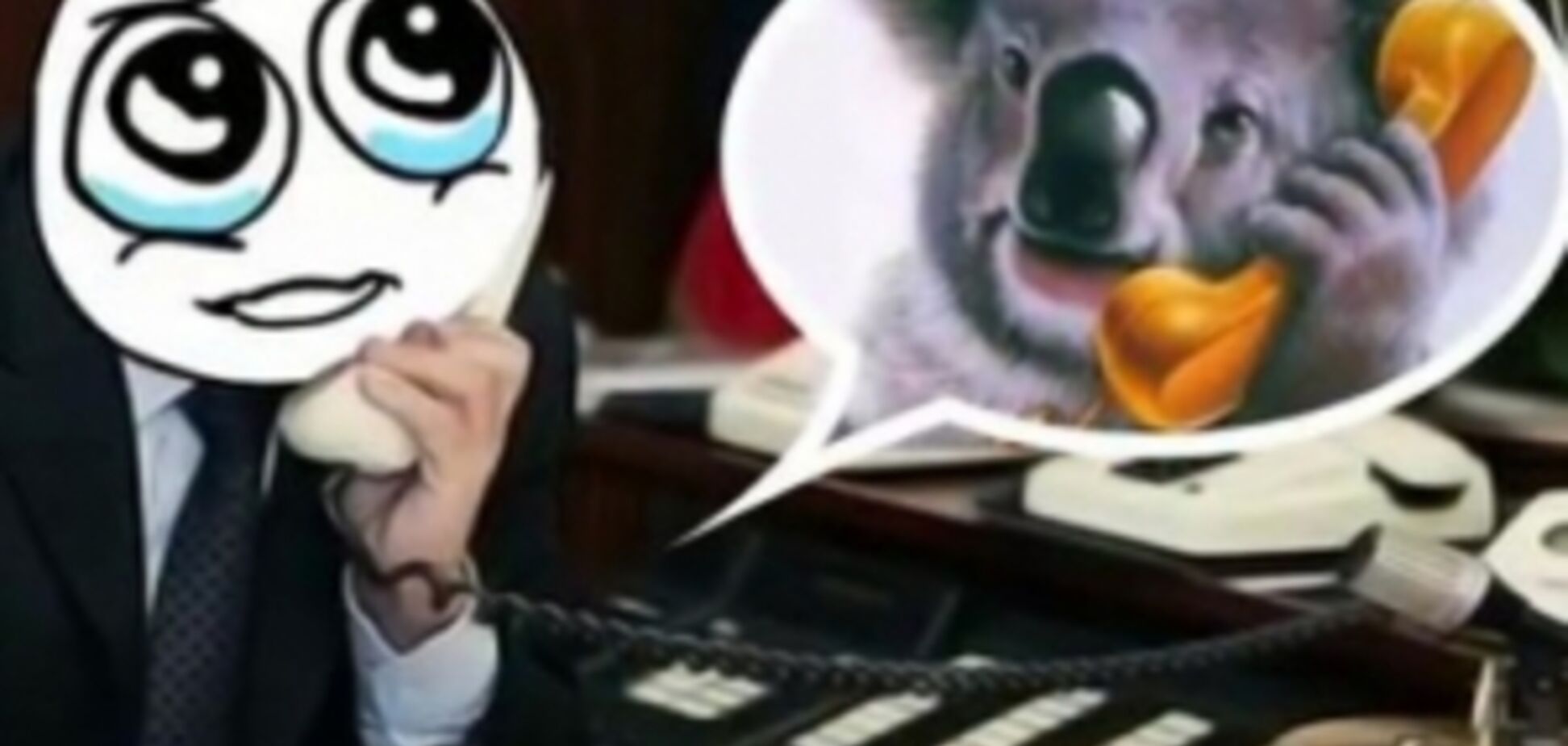 Нежной дружбе Путина и коалы посвятили песню