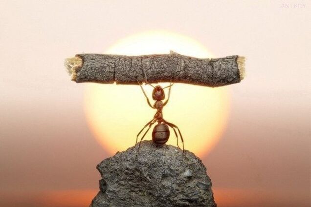 Про удачливых людей