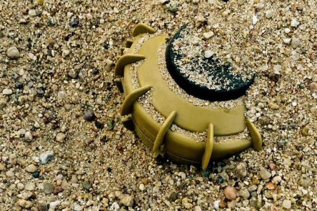 Бойцы АТО подорвались на противопехотной мине близ Счастья: есть жертвы