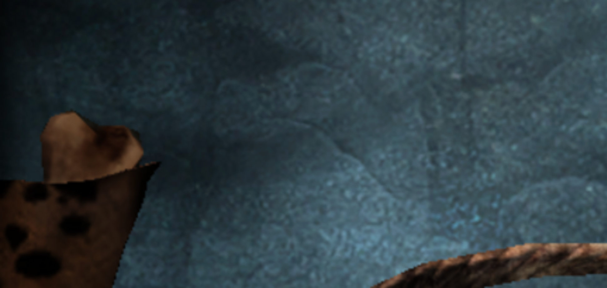 Обкуренный полицейский в Крыму наблюдал, как задержанный вешается