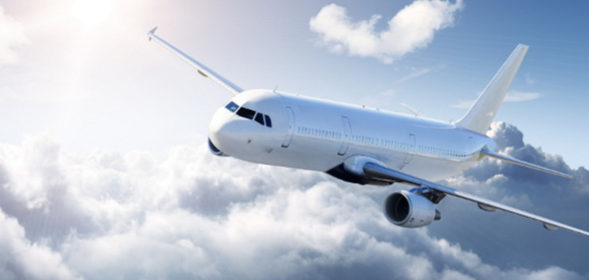 Шум крыльев