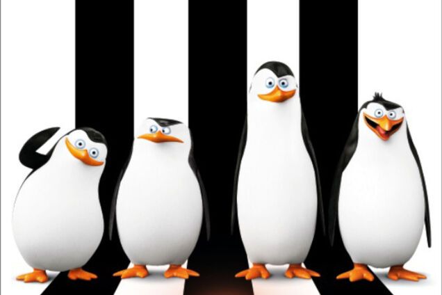 Пингвины Мадагаскара