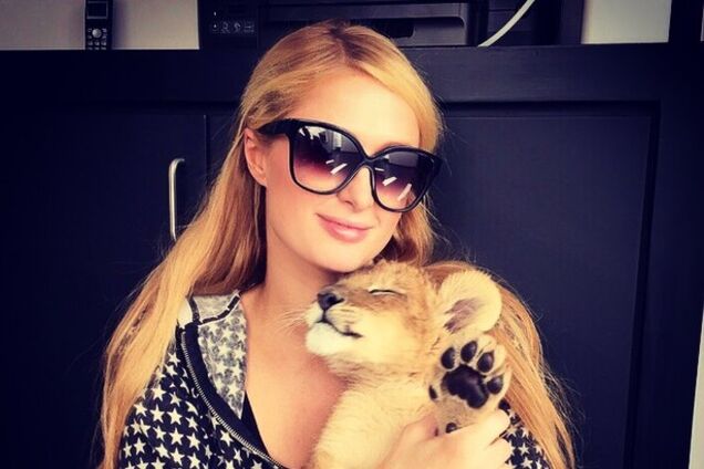 Пэрис Хилтон устроила фотосессию с тиграми и львами