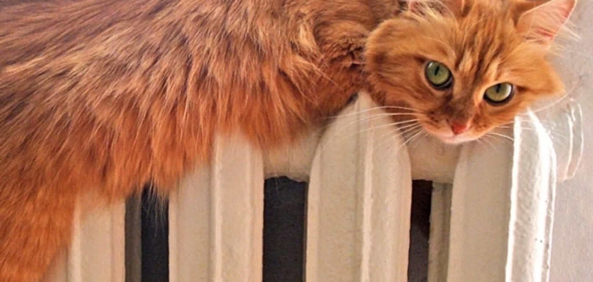 Руководство 'Нафтогаза' возмущено, что в Киеве 'слишком горячие' батареи