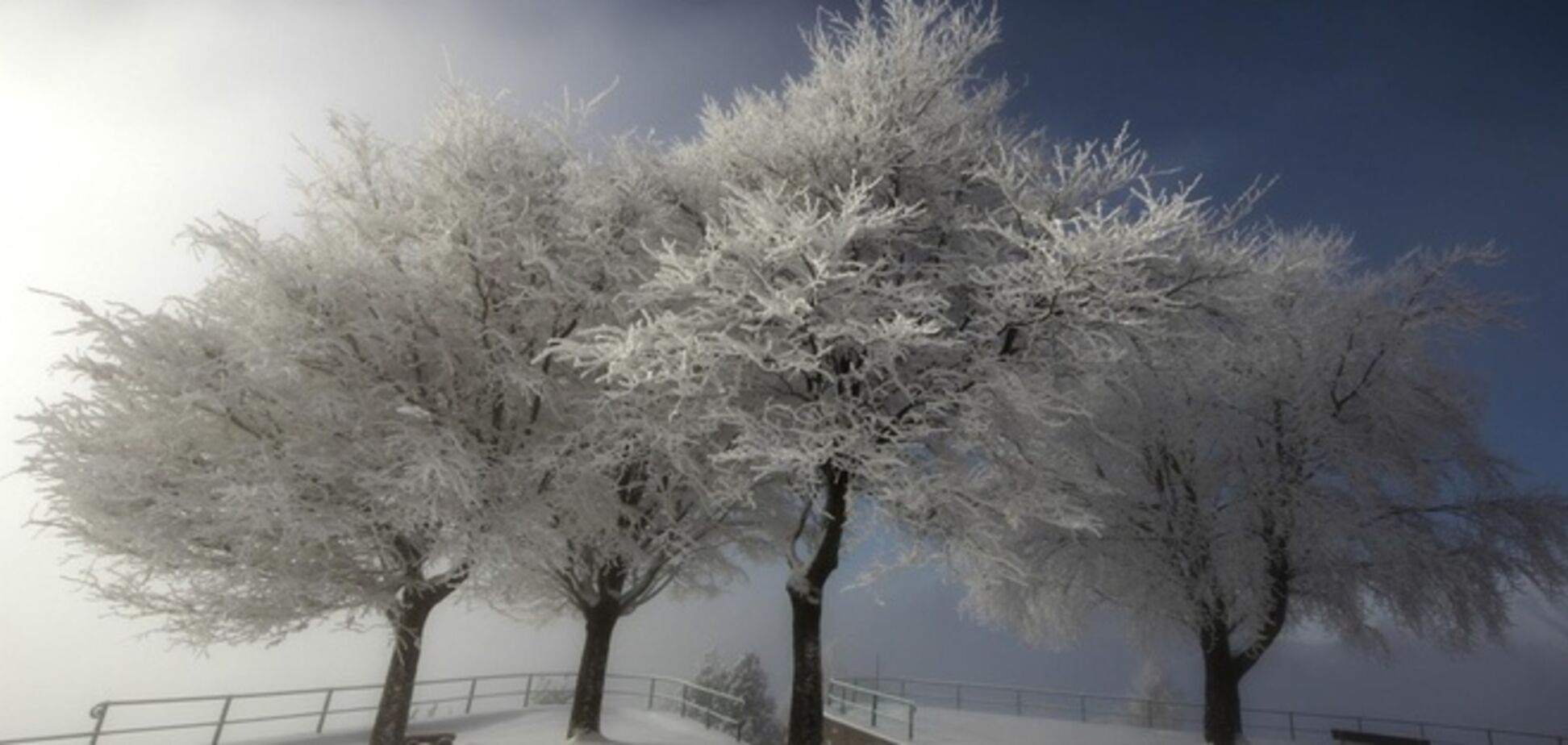 Зима пришла: в Украине морозы и снегопады