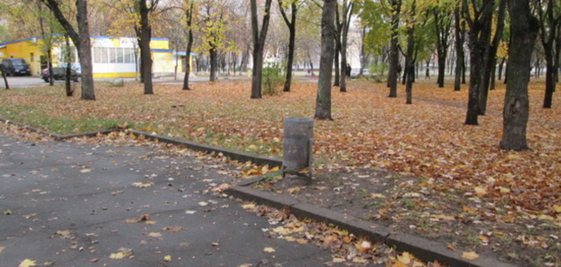 В киевских парках крадут розы и лавочки