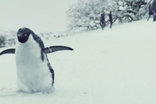 Трогательный рождественский ролик собрал более 4 млн просмотров за сутки