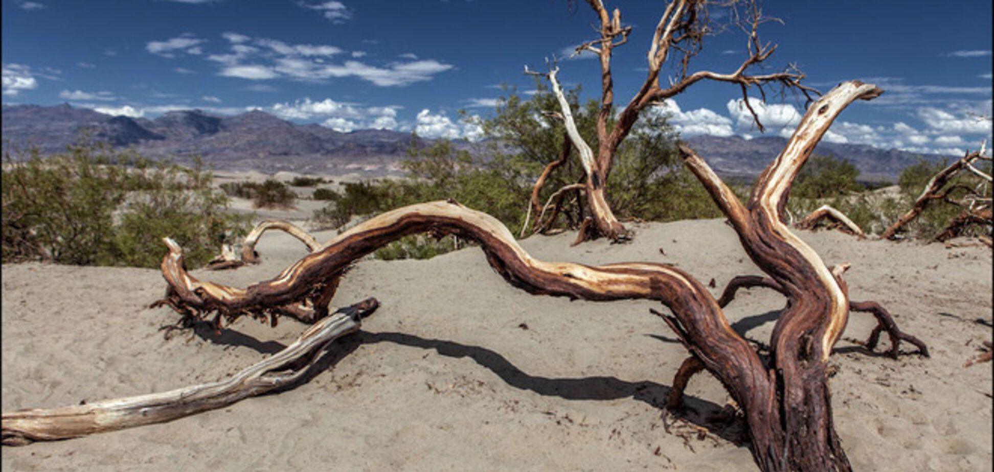 Удивительная прогулка по Долине Смерти