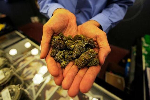 На Днепропетровщине против пятерых милиционеров возбудили дело об изготовлении наркотиков