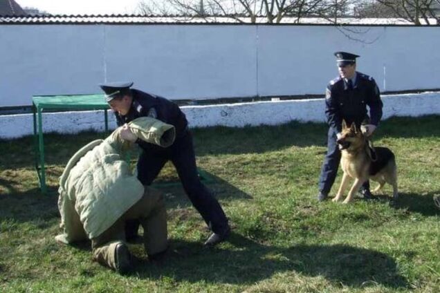 Полтавчане после ограбления ЧП пытались скрыться на территории милицейского объекта