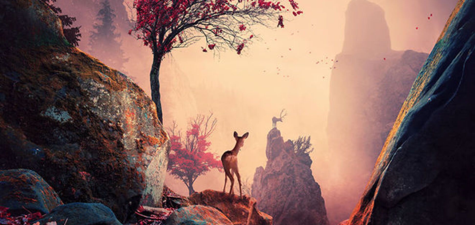 Страна сновидений. Невероятно яркие фото румынского фотографа