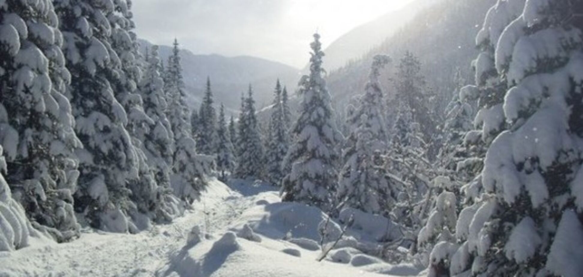 Решение о продаже Сибири принято в ноябре?