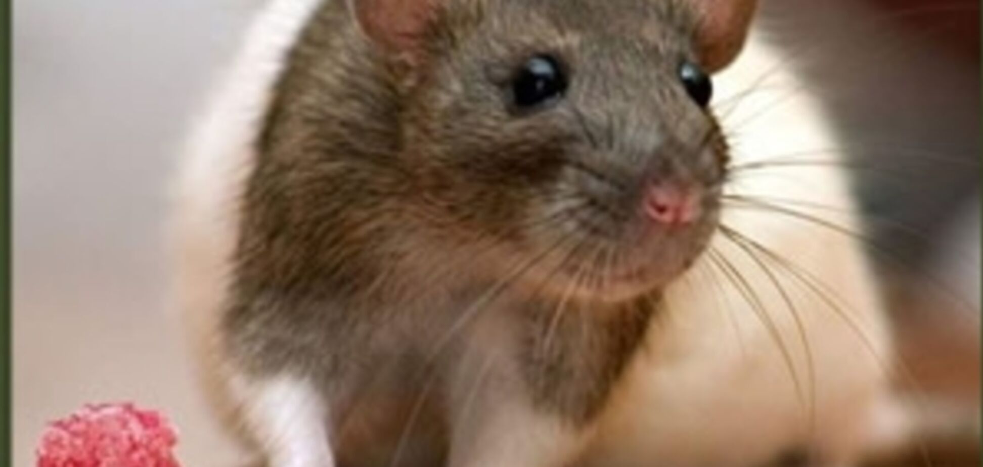 Чудовищные эксперименты на гражданах России