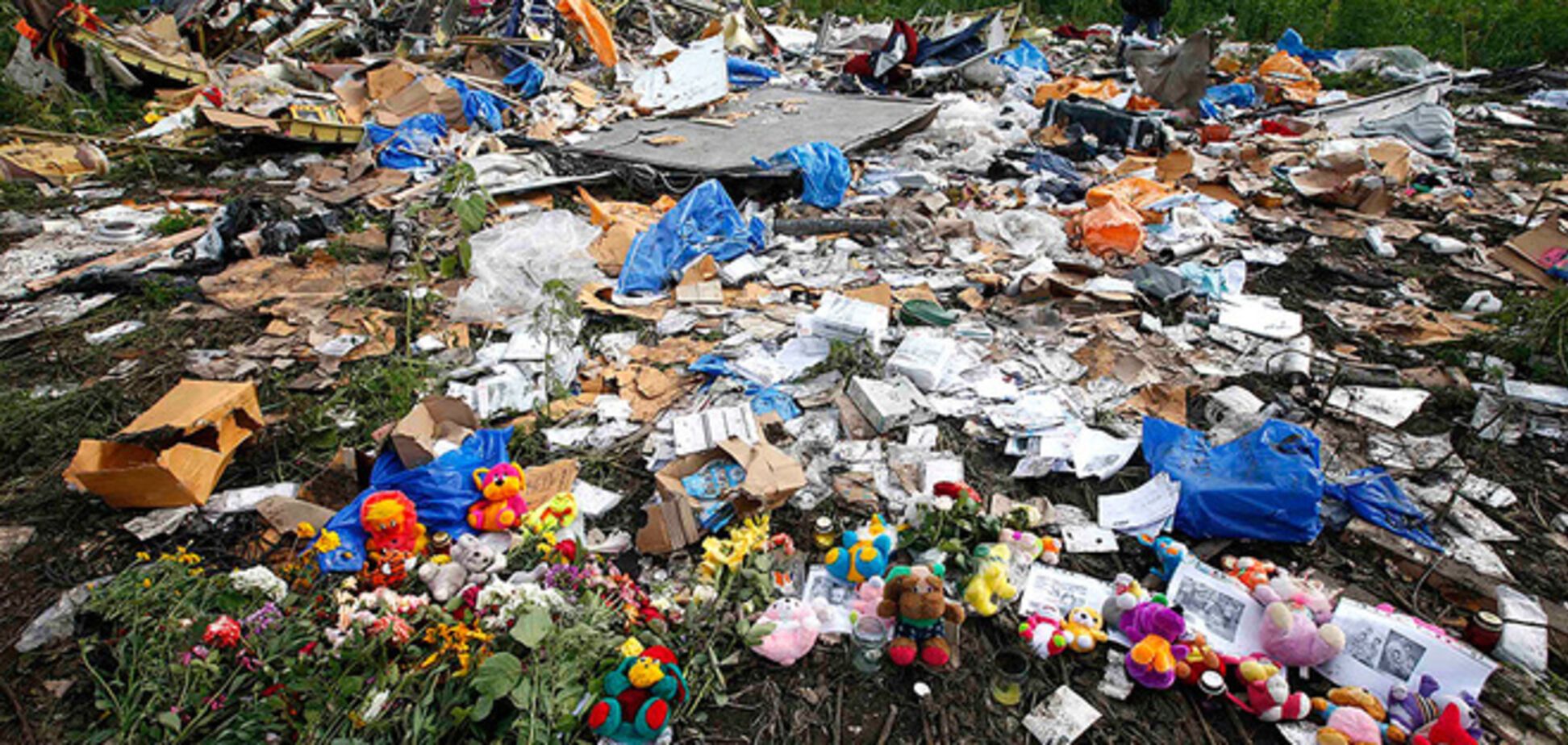 Мать погибшей в авиакатастрофе Boeing-777 требует от властей Украины $1 млн