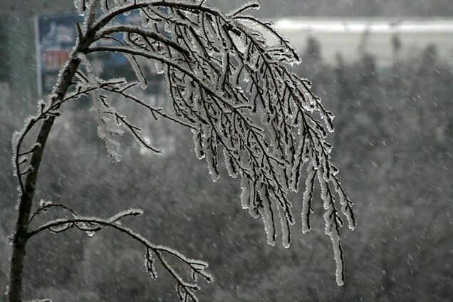 Киевлян просят в четверг забыть о собственных автомобилях