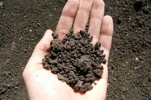 О бедных латифундистах Яценюк замолвил слово