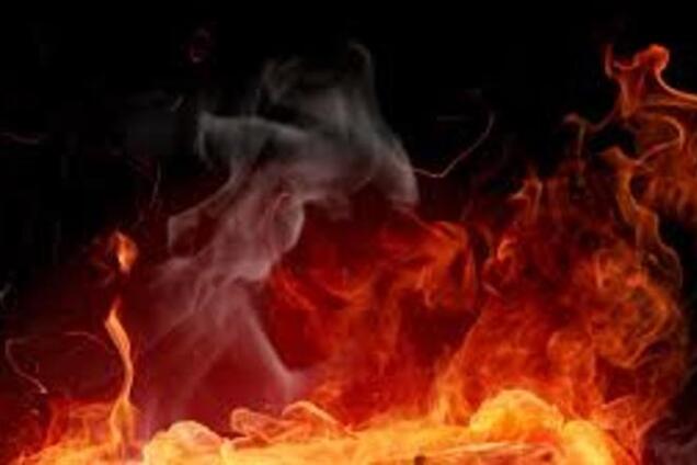 В Грозном подожгли офис организации 'Комитет против пыток'