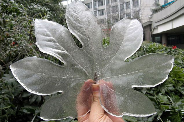 Как природа создает шедевры с помощью мороза