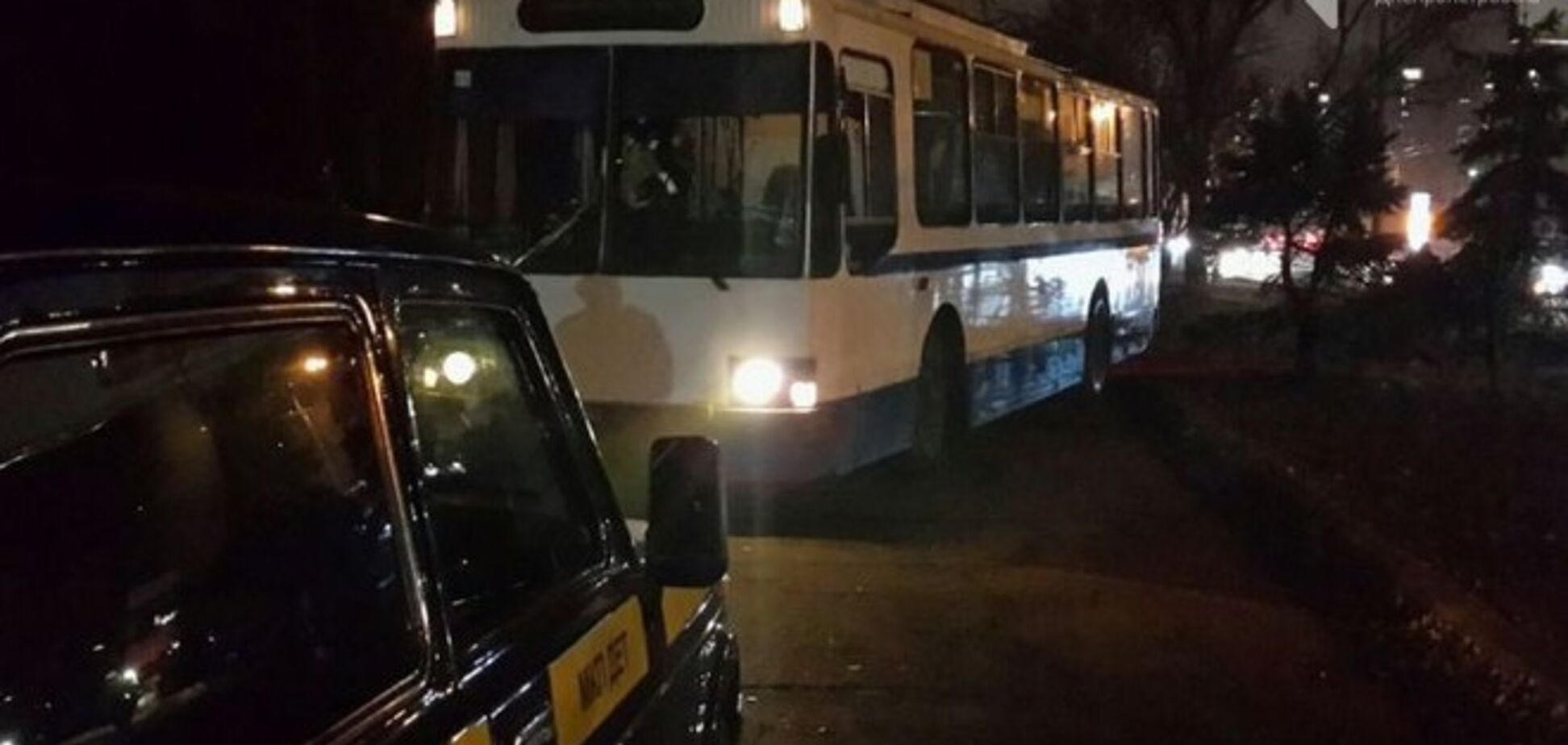 В Днепропетровске троллейбус вылетел с дороги прямо на тротуар: опубликованы фото