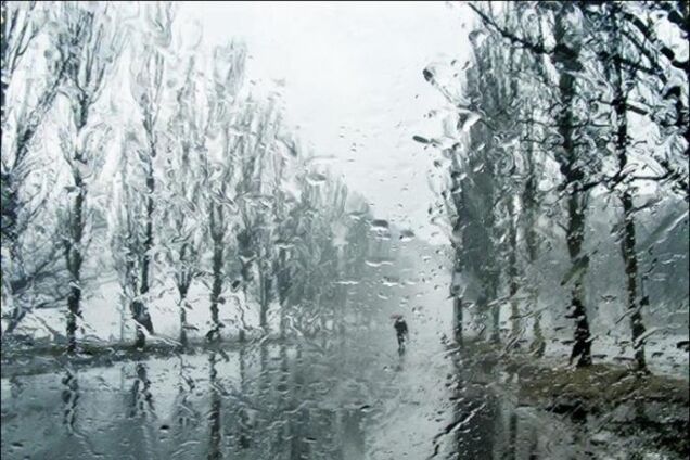 Эта неделя будет теплой и дождливой