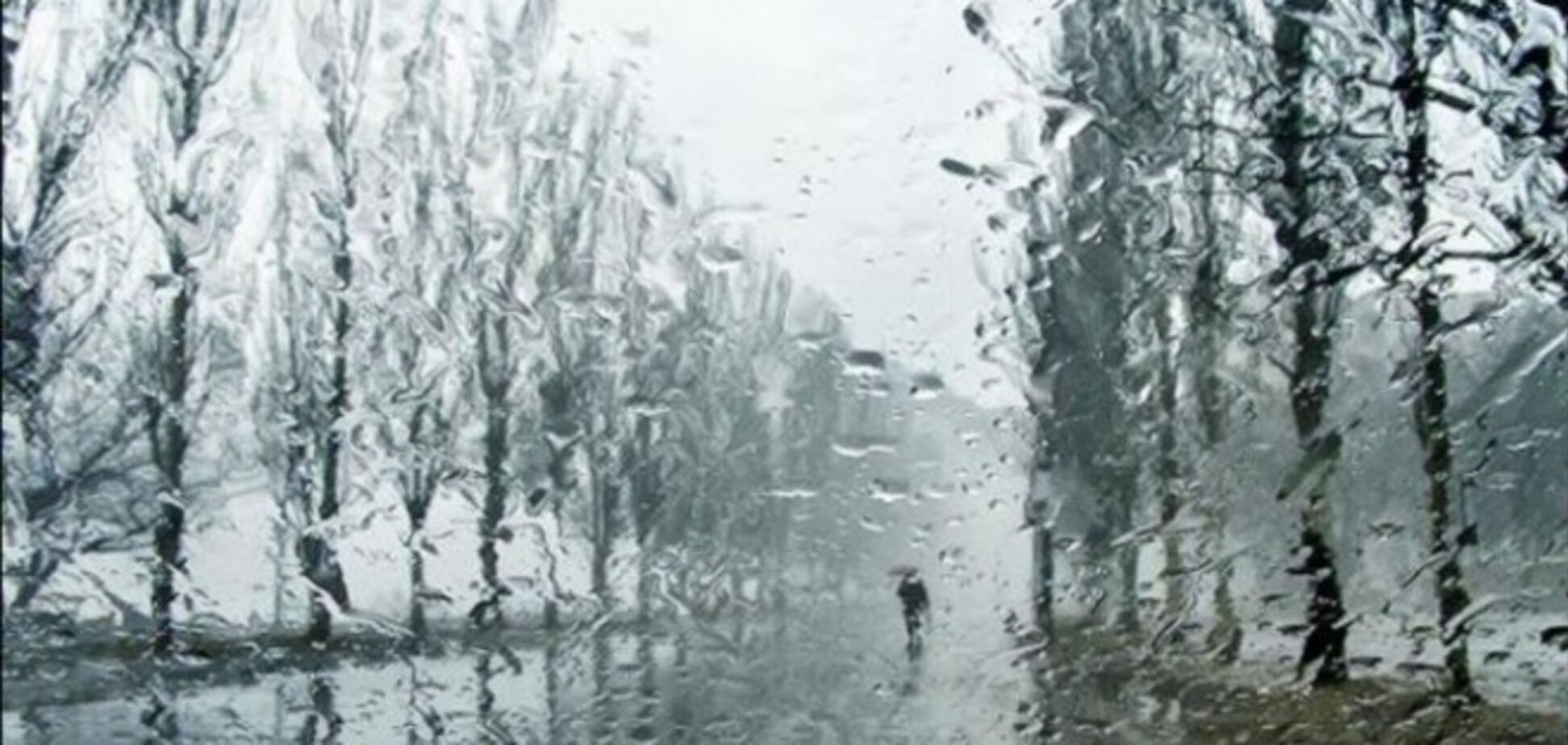 Эта неделя будет теплой и дождливой