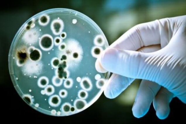 Біля узбережжя Ріо-де-Жанейро виявили супербактерію